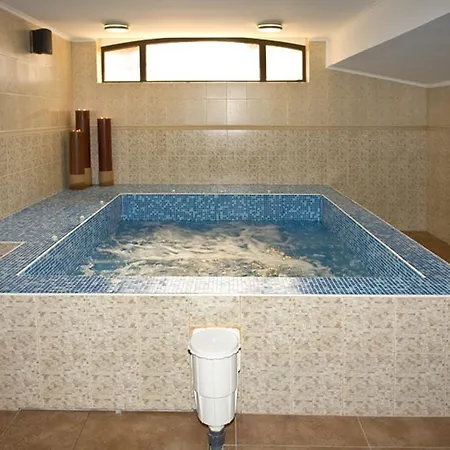 Chinar Hotel Hisarea