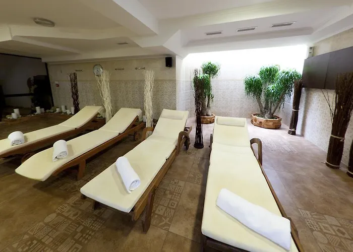 Hotel Chinar Hisarya